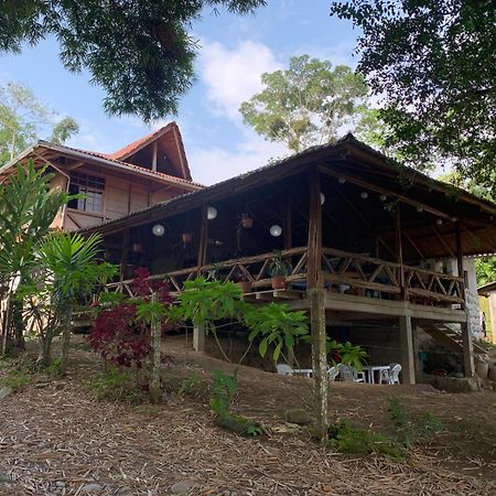 Appartement Playa Tortuga à Puerto Misahuallí Extérieur photo