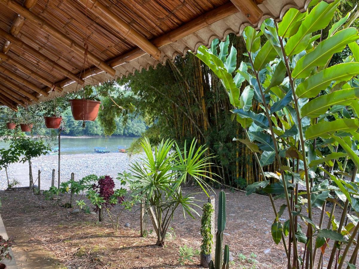 Appartement Playa Tortuga à Puerto Misahuallí Extérieur photo