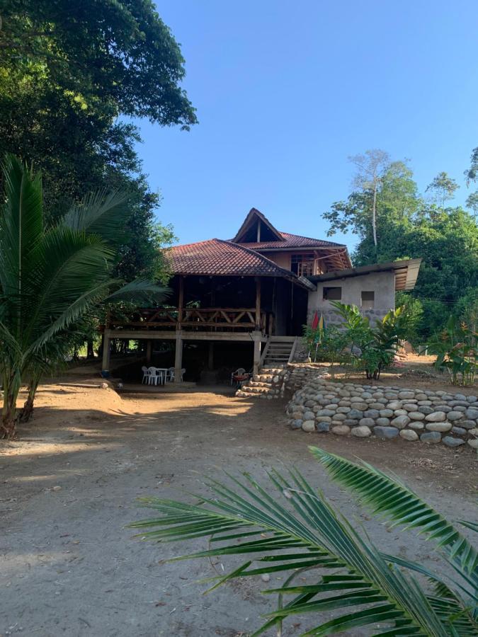 Appartement Playa Tortuga à Puerto Misahuallí Extérieur photo